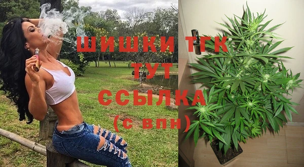 крисы Армянск